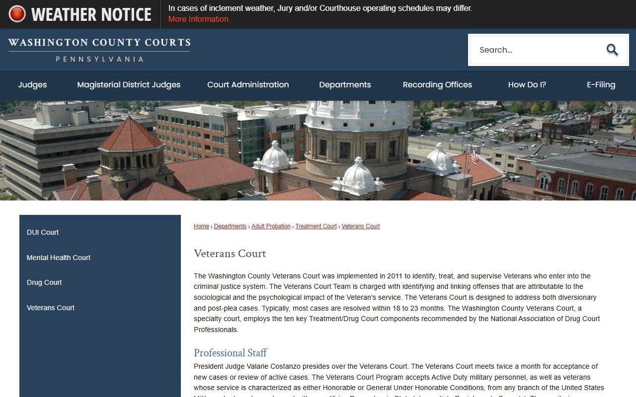 Washington County arrest records and court charges Veterans Court page