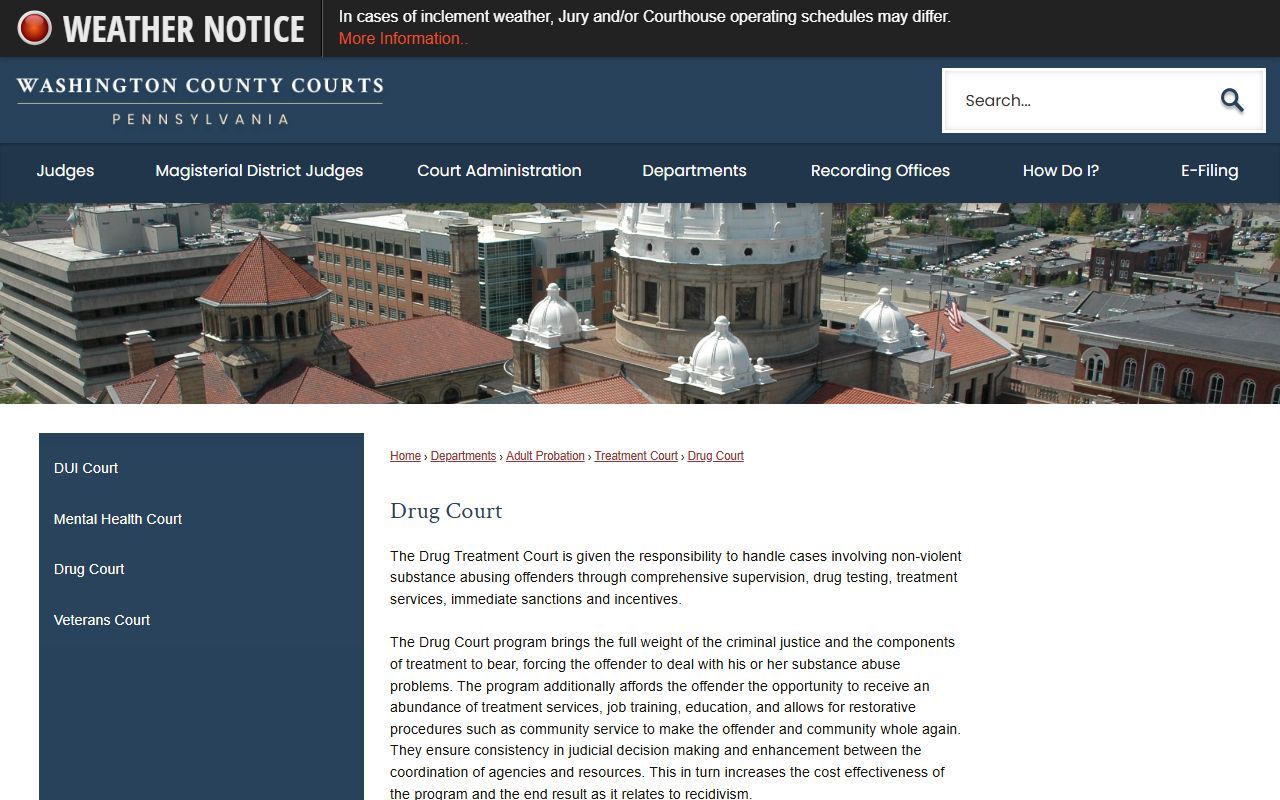 Washington County criminal court records Drug Treatment Court page
